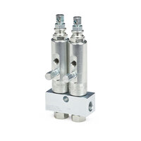 Wtryskiwacz smaru GL-1, 2 wtryskiwacze i rozdzielacz (G114902) - Graco