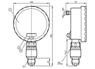 Czujnik ciśnienia z wyświetlaczem analogowym PG-,25BREB12-MFRKG/US/ /P (PG2458) - IFM