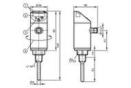 Czujnik temperatury z wyświetlaczem TN-050KLBN14-MFRKG/US/ (TN2613) - IFM