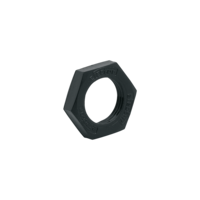 Nakrętka heksagonalna NUT+wASHER M12X1 2 PIECES (E10023) - IFM