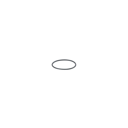 O-ring (E30512) - IFM