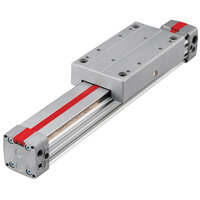 Siłownik beztłoczyskowy Lintra Plus z precyzyjną prowadnicą na łożyskach rolkowych, D63x1000, seria M/146200 (M/146263/M/EX/1000) - Norgren