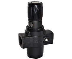 Regulator ogólnego przeznaczenia, 3/4 PTF, 0.3-8.5 bar, bez manometru, serii R17 (R17-600-RNLA) - Norgren