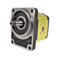 Pompy standard DIN, kołnierz z żeliwa GP217 Ø80 - Vivoil