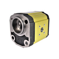 Pompa standard DIN typu BH, kołnierz z żeliwa GP216 Ø52, wydajność=26 cm3/obr. (G2P5731CSRA) - Vivoil