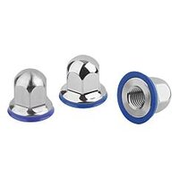 Nakrętka hygienic design stal nierdzewna A4 polerowany (07280-11-1112) - Norelem