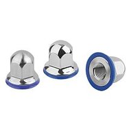 Nakrętka hygienic design stal nierdzewna A4 polerowany (07280-11-1110) - Norelem