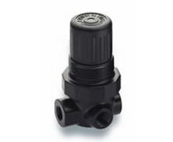 Miniaturowy regulator ciśnienia z portem (LR07-100-RNAG) - Norgren