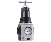 Regulator EXCELON PLUS (R84G-4GT-RSG) - Norgren