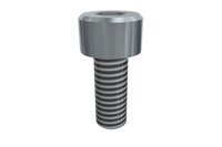Śruba z łbem z gniazdem sześciokątnym M4x10 SHCS (E20010226), 25 szt. (0215013) - Piab
