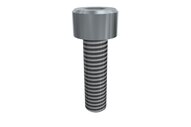 Śruba z łbem z gniazdem sześciokątnym M4x14 SHCS (E20010229), 25 szt. (0215015) - Piab