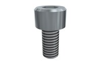 Śruba z łbem z gniazdem sześciokątnym M5x10 SHCS (E20010259), 25 szt. (0215032) - Piab