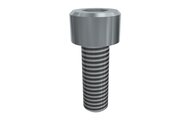 Śruba z łbem z gniazdem sześciokątnym M5x14 SHCS (E20010262), 25 szt. (0215034) - Piab