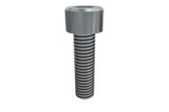 Śruba z łbem z gniazdem sześciokątnym M5x18 SHCS (E20010265), 25 szt. (0215036) - Piab