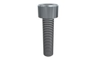 Śruba z łbem z gniazdem sześciokątnym M5x20 SHCS (E20010267), 25 szt. (0215037) - Piab