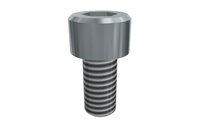 Śruba z łbem z gniazdem sześciokątnym M6x12 SHCS (E20010307), 25 szt. (0215058) - Piab
