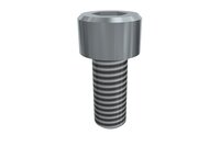 Śruba z łbem z gniazdem sześciokątnym M6x14 SHCS (E20010309), 25 szt. (0215059) - Piab