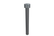 Śruba z łbem z gniazdem sześciokątnym M6x55 SHCS (E20010327), 25 szt. (0215070) - Piab