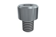 Śruba z łbem z gniazdem sześciokątnym M8x10 SHCS (E20010347), 25 szt. (0215079) - Piab