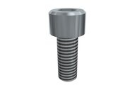 Śruba z łbem z gniazdem sześciokątnym M8x20 SHCS (E20010355), 25 szt. (0215082) - Piab