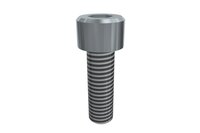 Śruba z łbem z gniazdem sześciokątnym M8x25 SHCS (E20010356), 25 szt. (0215083) - Piab
