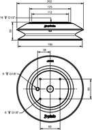 Przyssawka mieszkowa B200, PU30°/60°, G1/2" wew., bez filtra (S.B200P3060.G12F.00) (0241406) - Piab