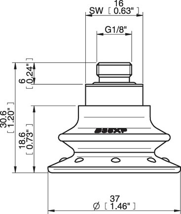 Przyssawka mieszkowa B35X, PU30°/60°, G1/8" zew., filtr siatkowy (S.B35XP3060.G18M.01) (0205100) - Piab