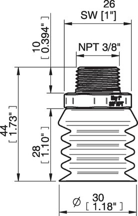 Przyssawka wielomieszkowa wykrywalna B-BL 30-2, Silikon SIL 40°, NPT 3/8 zew., bez filtra (S.BBL30-2DS40.NT38MSS.00) (0207094) - Piab