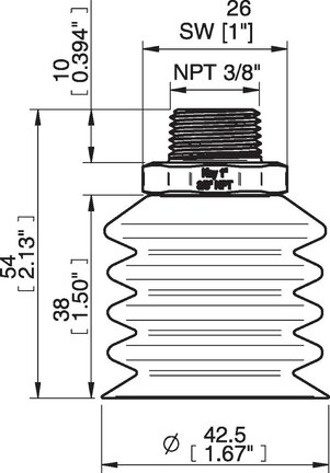 Przyssawka wielomieszkowa wykrywalna B-BL 40-2, Silikon SIL 40°, NPT 3/8 zew., bez filtra (S.BBL40-2DS40.NT38MSS.00) (0207103) - Piab