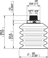 Przyssawka wielomieszkowa wykrywalna B-BL 60-2, Silikon SIL 40°, NPT 3/8 zew., bez filtra (S.BBL60-2DS40.NT38MSS.00) (0207112) - Piab