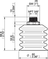 Przyssawka wielomieszkowa wykrywalna B-BL 60-2, Silikon SIL 40°, NPT 3/8" zew., bez filtra (S.BBL60-2DS40.NT38MDC.00) (0207117) - Piab