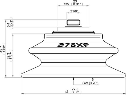 Przyssawka mieszkowa B75XP, PU30°/60°, G1/8" zew., (B75XP.5K.G60) (0205156) - Piab