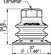 Przyssawka wielomieszkowa BX35P, PU30°/60°, NPSF 1/8" wew., dysk filtr. (S.BX35P3060.NS18F.02) (0106604) - Piab