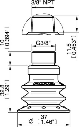 Przyssawka wielomieszkowa BX35, PU30°/60°, NPT 3/8" zew., zawór ster., podw.. przepł., dysk filtr. i filtr siatkowy (S.BX353060.NT38M.55) (9909194) - Piab