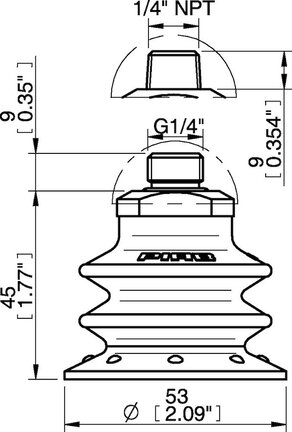 Przyssawka wielomieszkowa BX52, PU30°/60°, NPT 1/4" zew., zawór ster., podw.. przepł., dysk filtr. i filtr siatkowy (S.BX52P3060.NT14M.55) (9908595) - Piab