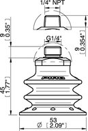 Przyssawka wielomieszkowa BX52, PU60°, NPT 1/4" zew., zawór ster., podw.. przepł., dysk filtr. i filtr siatkowy (S.BX52P60.NT14M.55) (9908593) - Piab