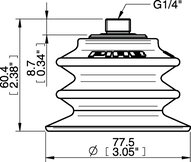 Przyssawka wielomieszkowa BX75P, PU60° z filtrem, G1/4" zew., (BX75P.5E.G59.F) (0201074) - Piab