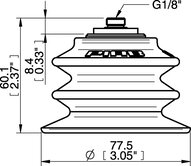 Przyssawka wielomieszkowa BX75P, PU60° z filtrem, G1/8" zew., (BX75P.5E.G60.F) (0201083) - Piab
