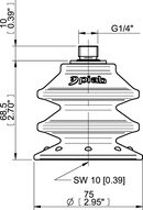 Przyssawka wielomieszkowa BXF75P, PU60°, G1/4" zew., filtr siatkowy, (BXF75P.5Y.G79MR) (0209313) - Piab