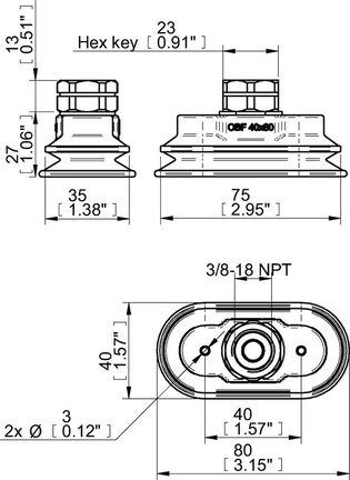 Przyssawka owalna mieszkowa OBF40X80P, PU60°, 3/8" NPT wew., (OBF40x80P.5X.N48W) (0212799) - Piab