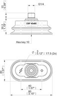 Przyssawka owalna mieszkowa OBF40X80 mm, PU60° i 60°, G1/4" zew., filtr siatkowy (S.OBF40X80P6060.G14M.01) (0213920) - Piab