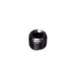 Korek stalowy NPT1/8 (0206 11 00) - Legris