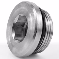 Korek do łączników hydraulicznych Ermeto DIN (VSTI27X2ED71) - Parker