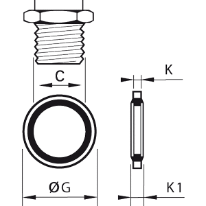 Podkładka uszczelniająca z dwóch materiałów G1/2 (0139 21 00) - Legris
