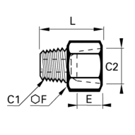 Adapter nierdzewny R1/8 NPT1/8 (1867 10 11) - Legris