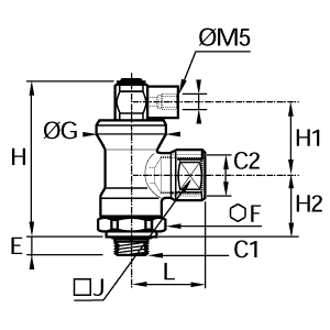 Zawór blokowany wersja mosiężna G1/4 G1/4 (7881 13 13) - Legris