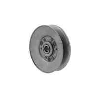 Rolka naprężająca pas (RSRA13-129 -L0-L114) - INA
