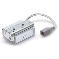 Stół przesuwany elektryczny (LES25REK-100BS-R5CP17-XA195) - SMC