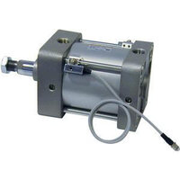 NCDA1B250-0450 - SMC