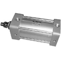 NCDA1F250-0800N-XC22 - SMC